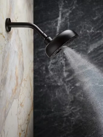 Kohler Statement Awaken APT Arise wall-mount showerhead single multifunction spray available in Chennai