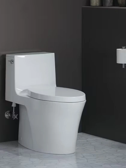 Kohler one-piece floor-standing toilet Quiet-Close seat San Raphael Grande series available in Chennai